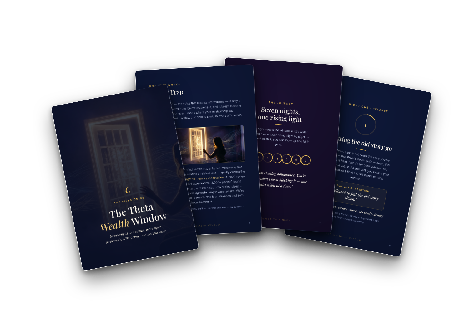 Inside the Wealth Window Field Guide